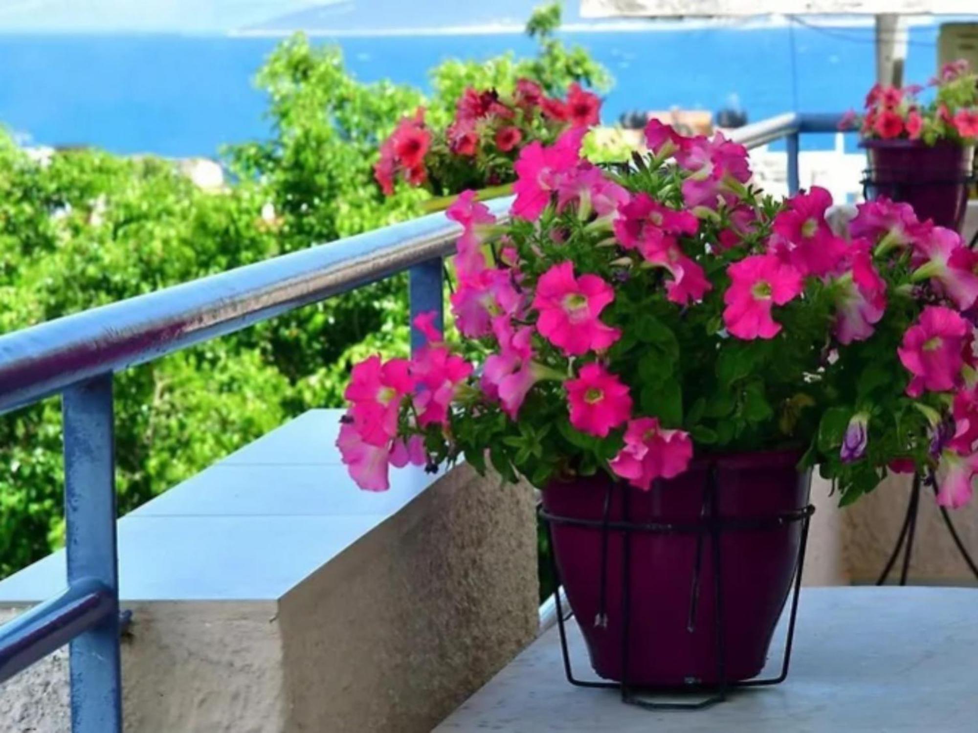 Konstantinos Apartments Tolo Bagian luar foto